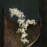 ginkgo combination chandelier